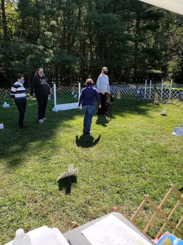 2020 was the year that SHKC took to the road!  Holding 3 days of Obedience, Rally and FAST CAT trials at EV-RY Farm in Mt. Laurel, NJ!